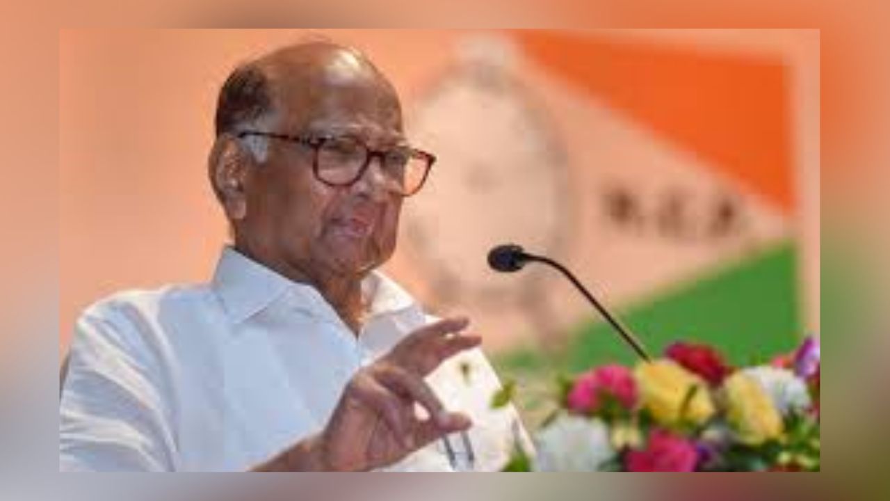 Untitled Design (13)