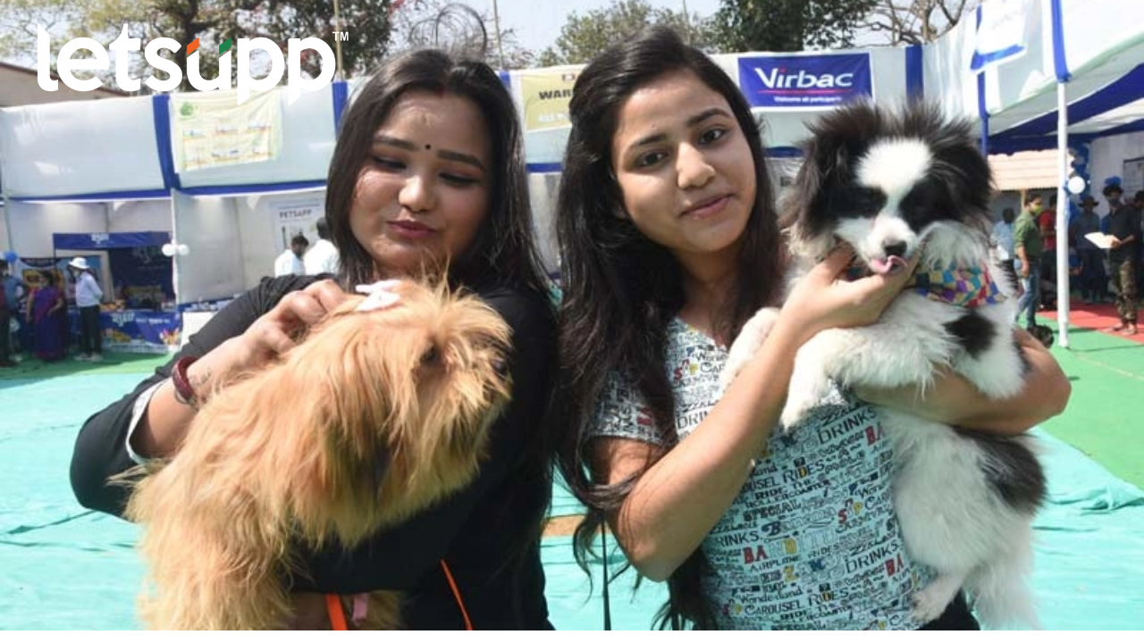 Dog Show : अहमदनगरमध्ये रंगला डॉग शो Untitled Design (23)