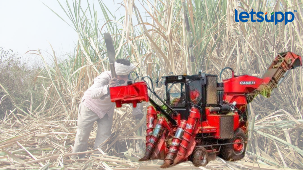 Untitled Design (59)