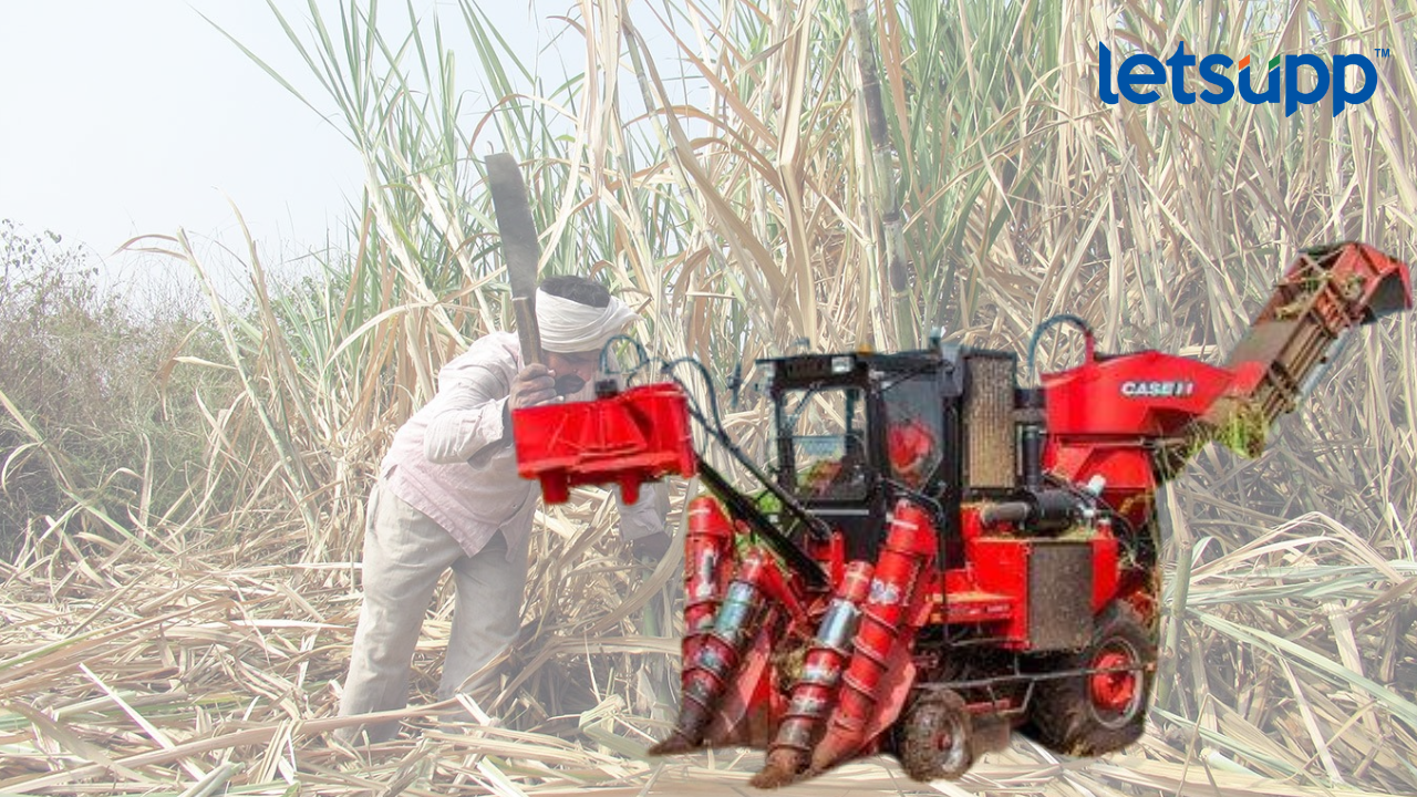 Untitled Design (59)