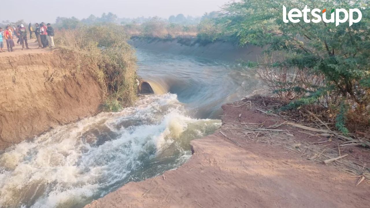 ‘उजनी’चा उजवा कालवा फुटला, शेकडो एकर शेतीचं मोठं नुकसान Ujani