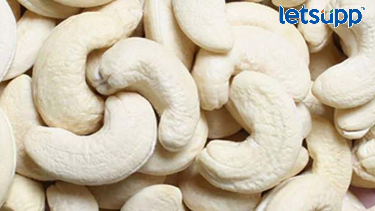 Soaked Cashews: पाण्यात भिजवलेले काजू खाण्याचे अनेक फायदे आहेत, जाणून घ्या आरोग्यासाठी किती फायदेशीर Untitled Design (21)