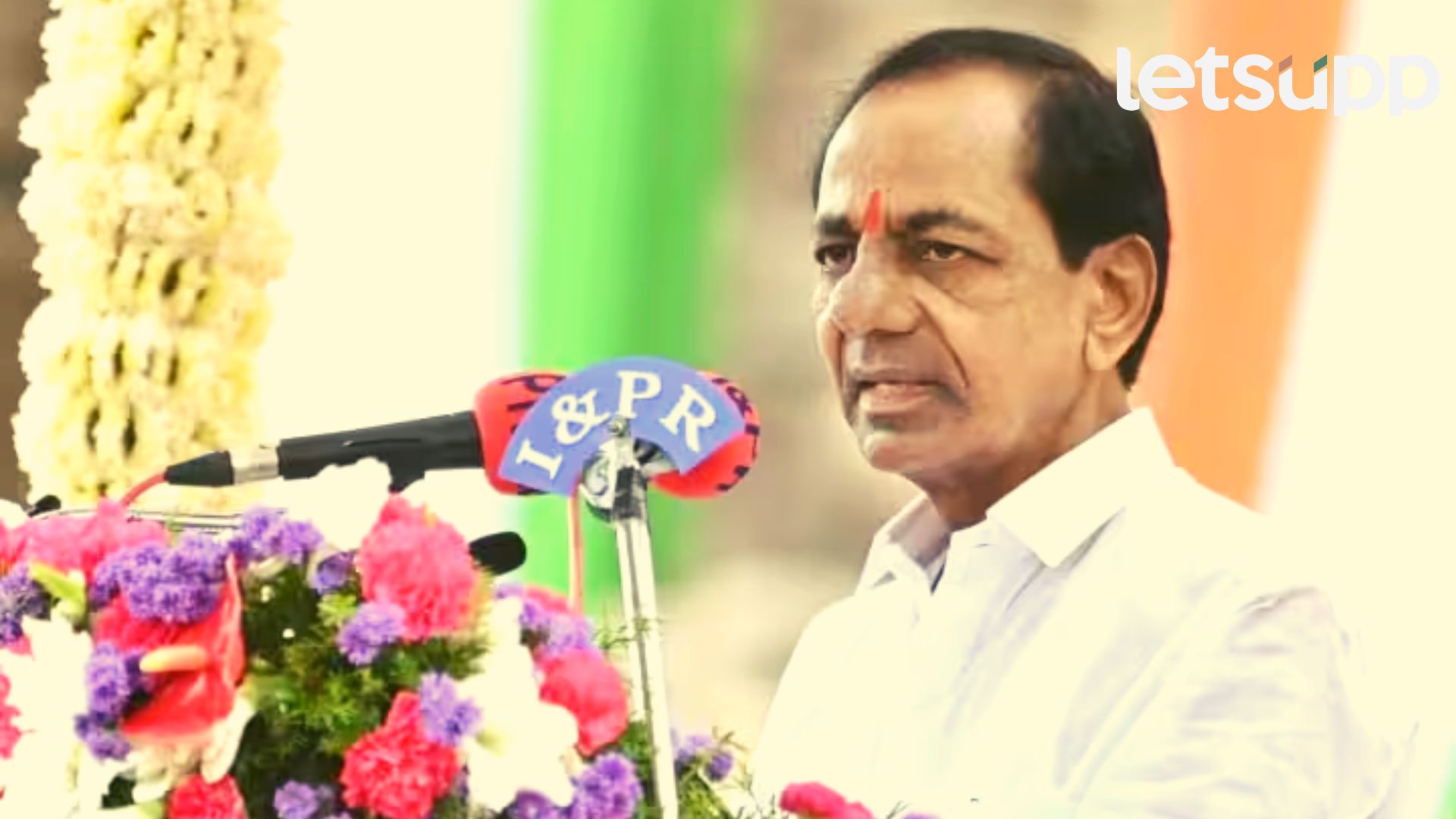 Untitled Design (43)