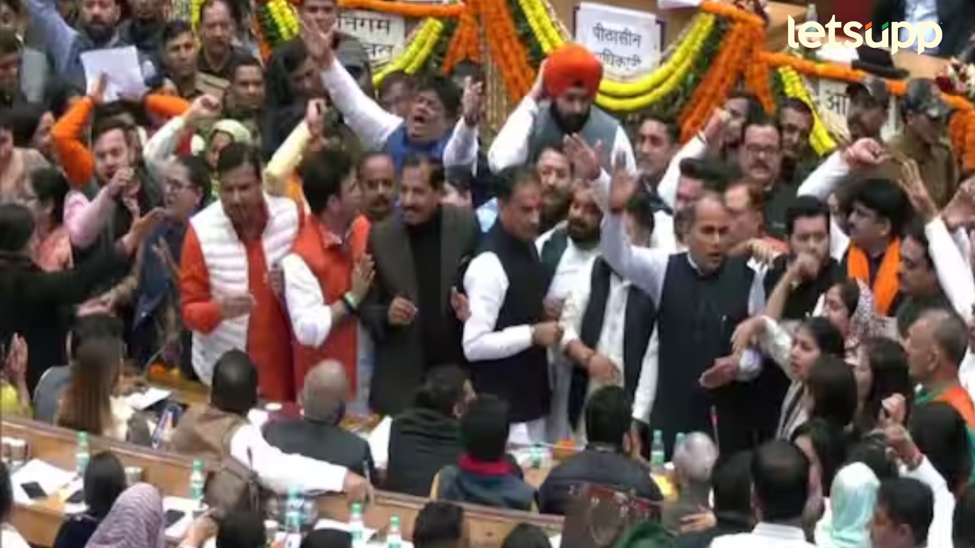 Untitled Design (87)