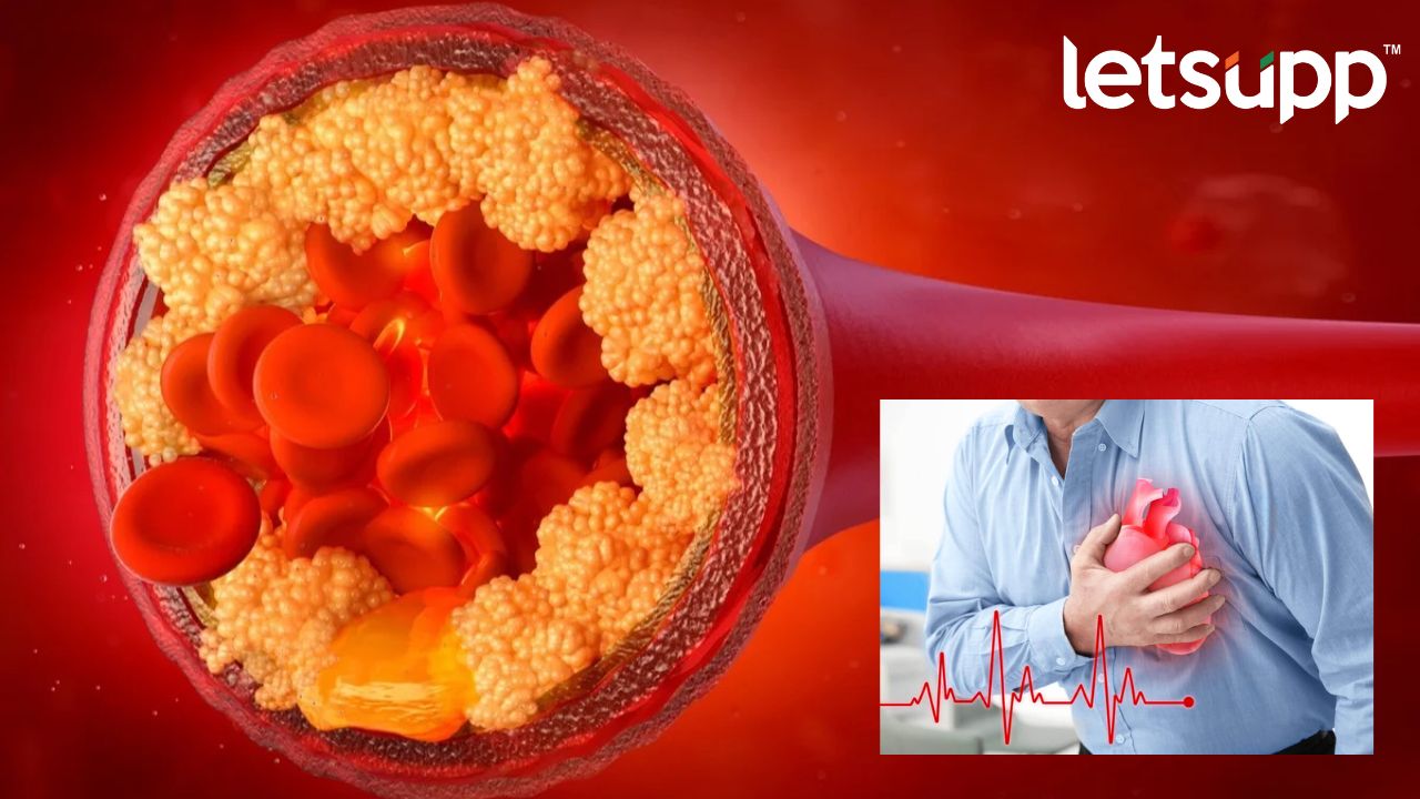 WhatsApp Image 2023 02 07 At 14.44.56