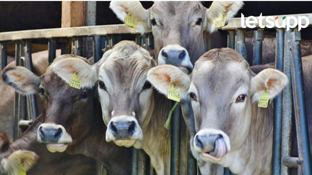 Untitled Design 2023 03 23T202441.684