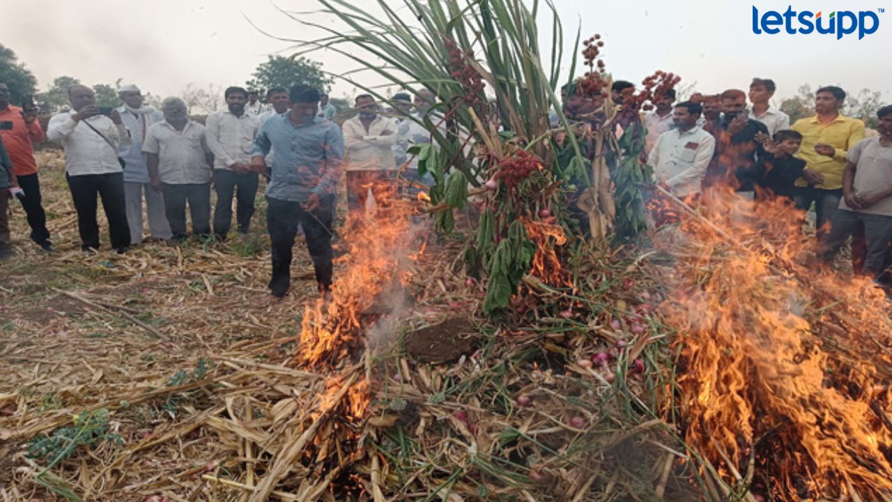 Untitled Design (77)