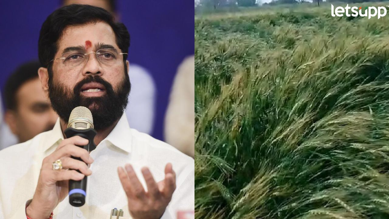 Untitled Design (83)