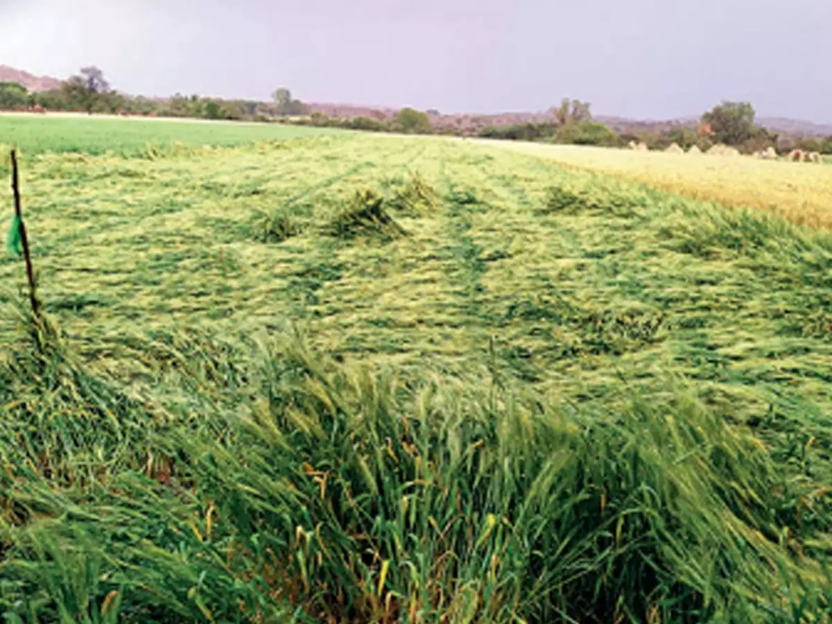 WhatsApp Image 2023 03 06 At 5.54.31 PM