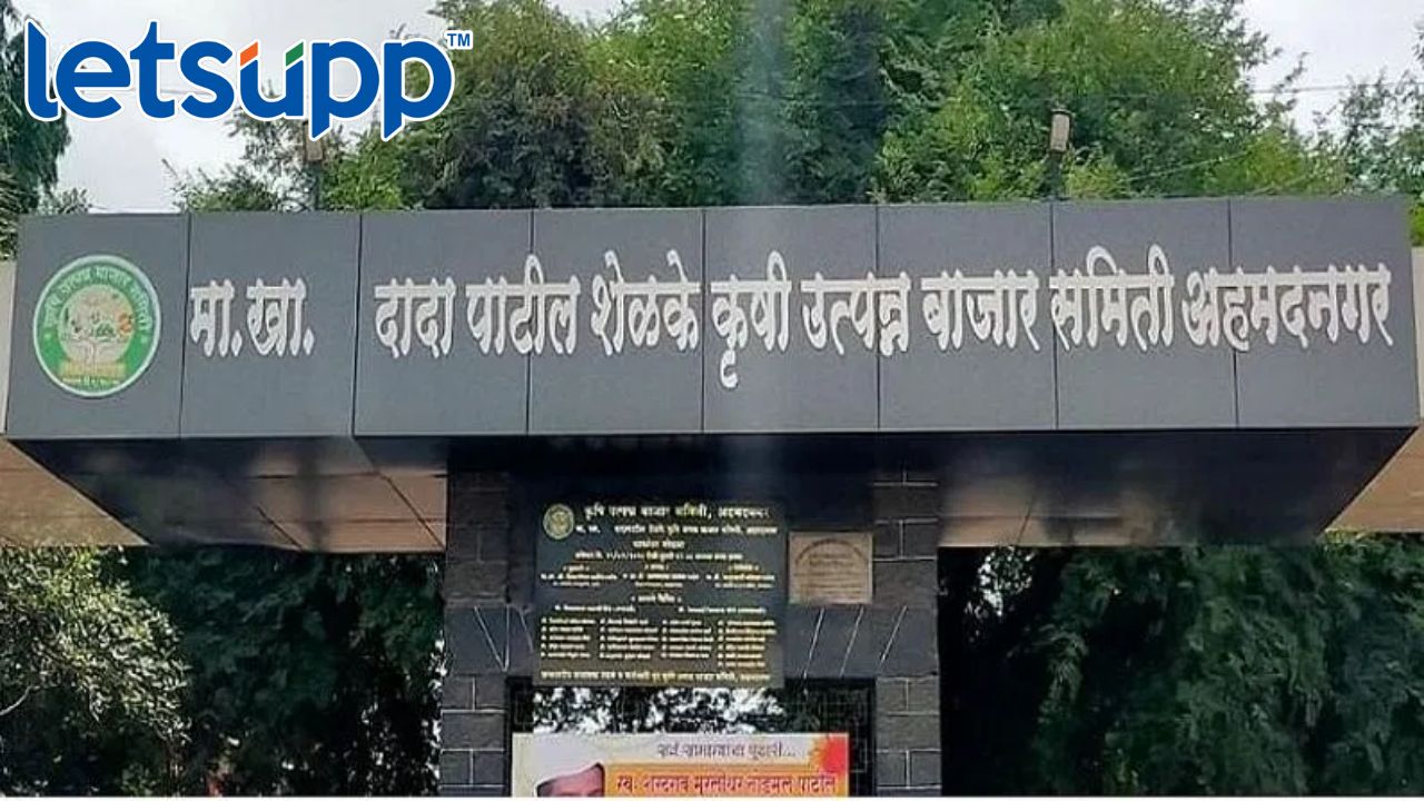 Ahmednagar : बाजार समित्यांच्या निवडणुकांची रणधुमाळी सुरू Ahmednagar Bajar Samiti Letsupp