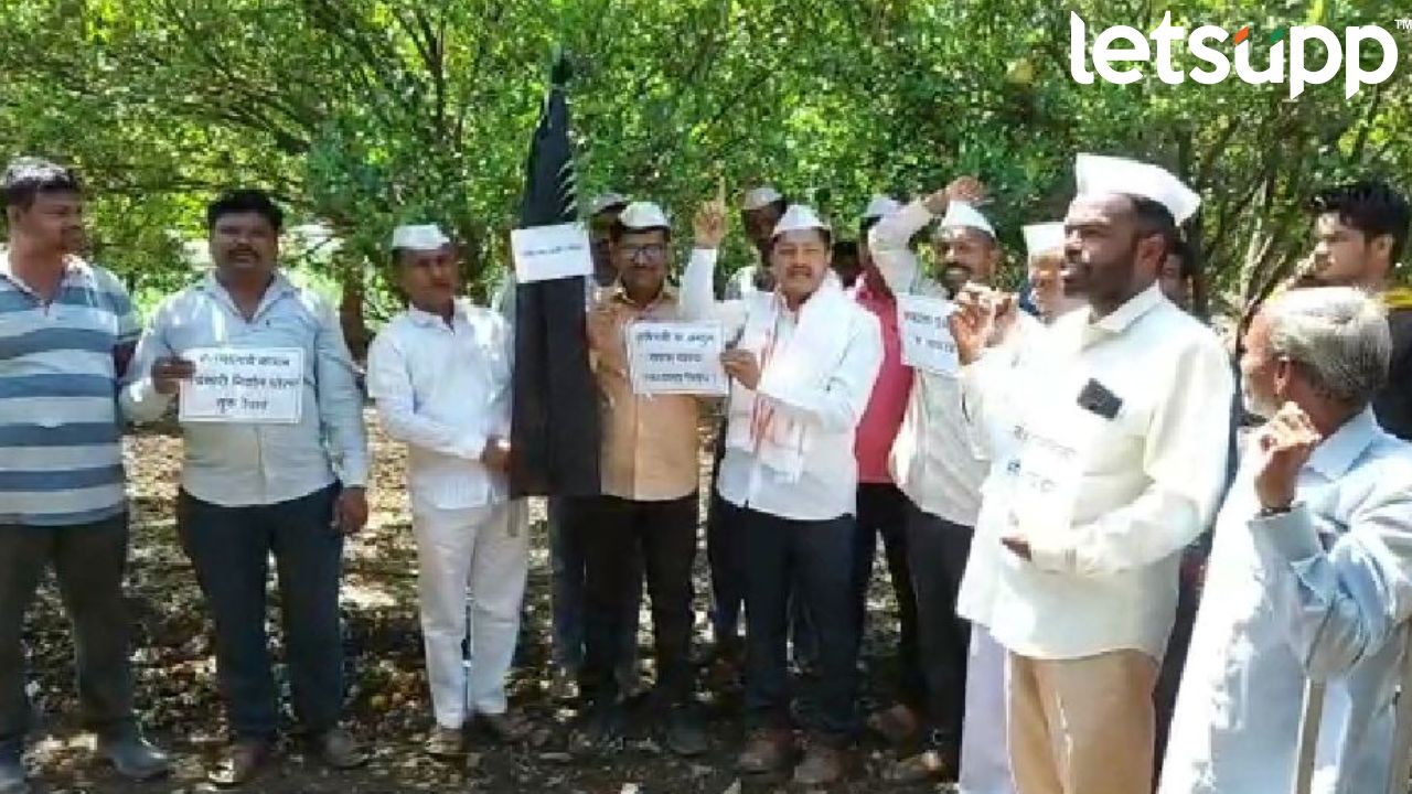 Ayant Dharmadhikari (2)