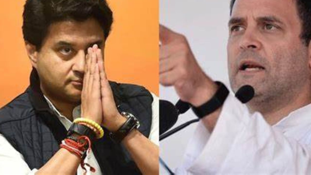 काँग्रेसला झटका, राहुल गांधी आणि त्यांच्या भारत जोडो यात्रेला.. भाजप नेत्याने केला मोठा खुलासा.. Gandhi