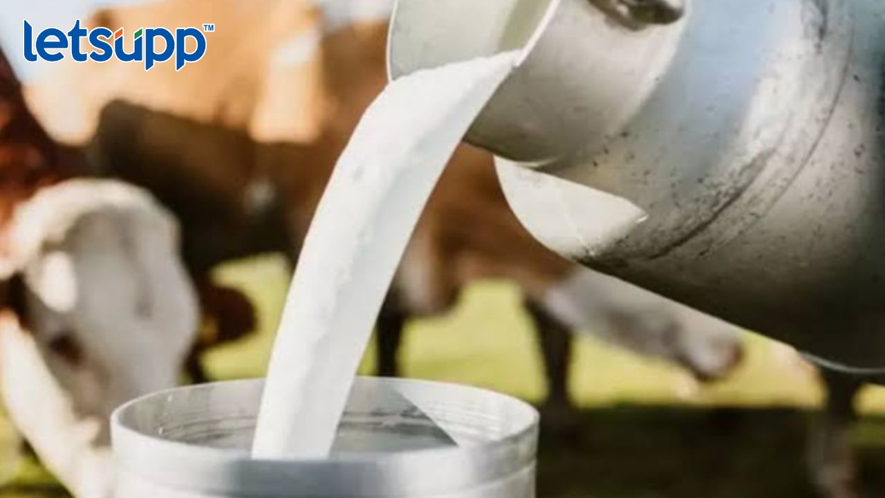 Httpswww.canva.comdesignDAFcJmY7 AA2pbVhvfb_idY9UrtjK05lwviewium=link&utm_source=shareyourdesignpanel (1)