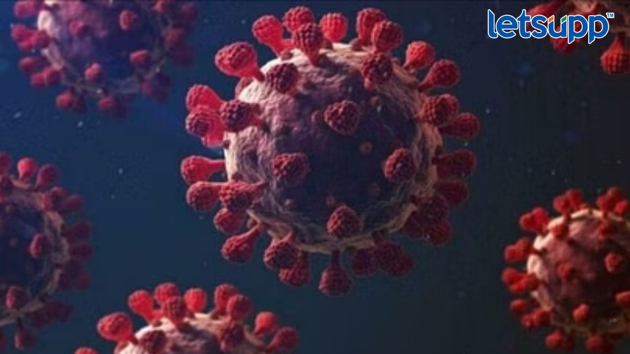 सावधान! गर्दीच्या ठिकाणी जाणे टाळा, कोरोना रुग्णांची संख्या वाढली Httpswww.canva.comdesignDAFcJmY7 AA2pbVhvfb_idY9UrtjK05lwviewium=link&utm_source=shareyourdesignpanel (11)