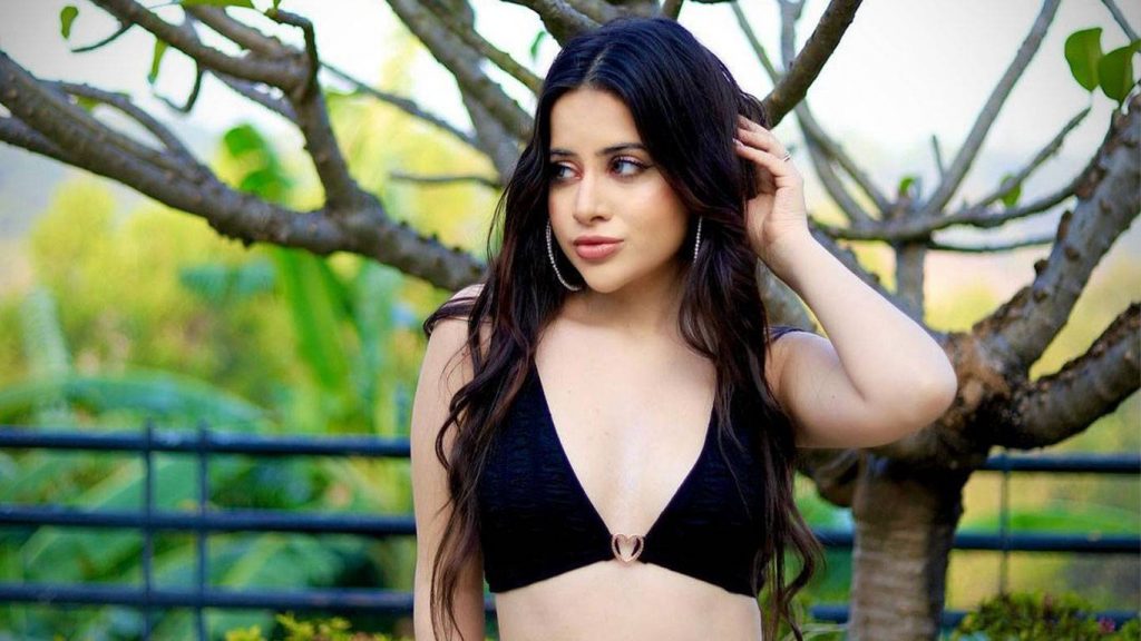 Urfi Javed इंस्टाग्राम बंद करणार; पोस्ट करत स्वतःच सांगितलं कारण...