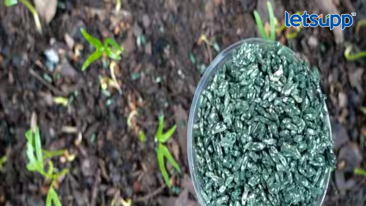 चिंता वाढली! कोविडनंतर देशात आढळला नवा व्हायरस… Fungas