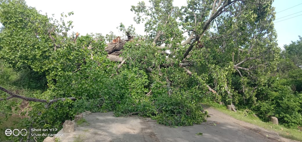 IMG 20220802 WA0011 1