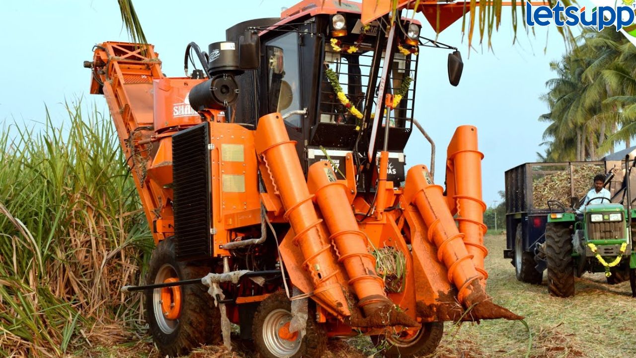 Untitled Design   2023 04 18T213142.920