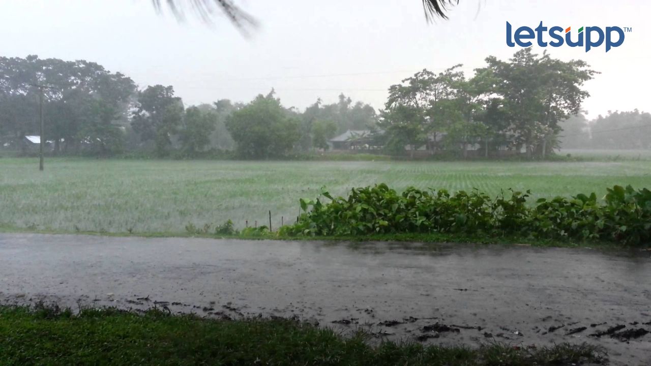 Untitled Design   2023 04 29T185519.372