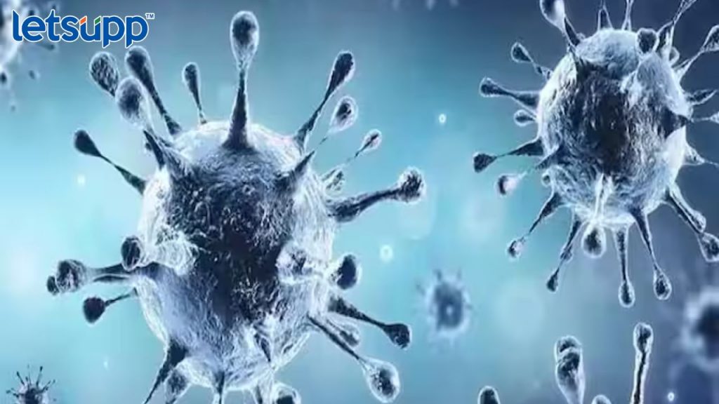 Httpswww.canva.comdesignDAFcJmY7 AA2pbVhvfb_idY9UrtjK05lwviewium=link&utm_source=shareyourdesignpanel (12)