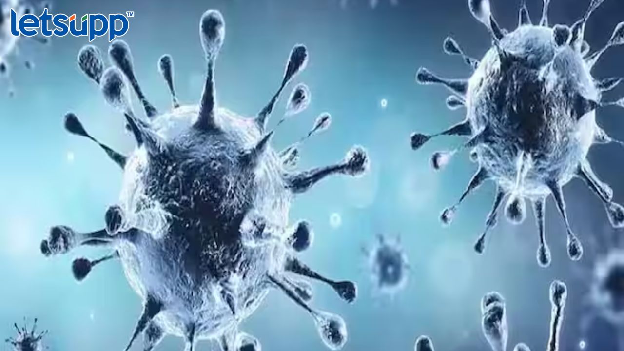 Httpswww.canva.comdesignDAFcJmY7 AA2pbVhvfb_idY9UrtjK05lwviewium=link&utm_source=shareyourdesignpanel (12)