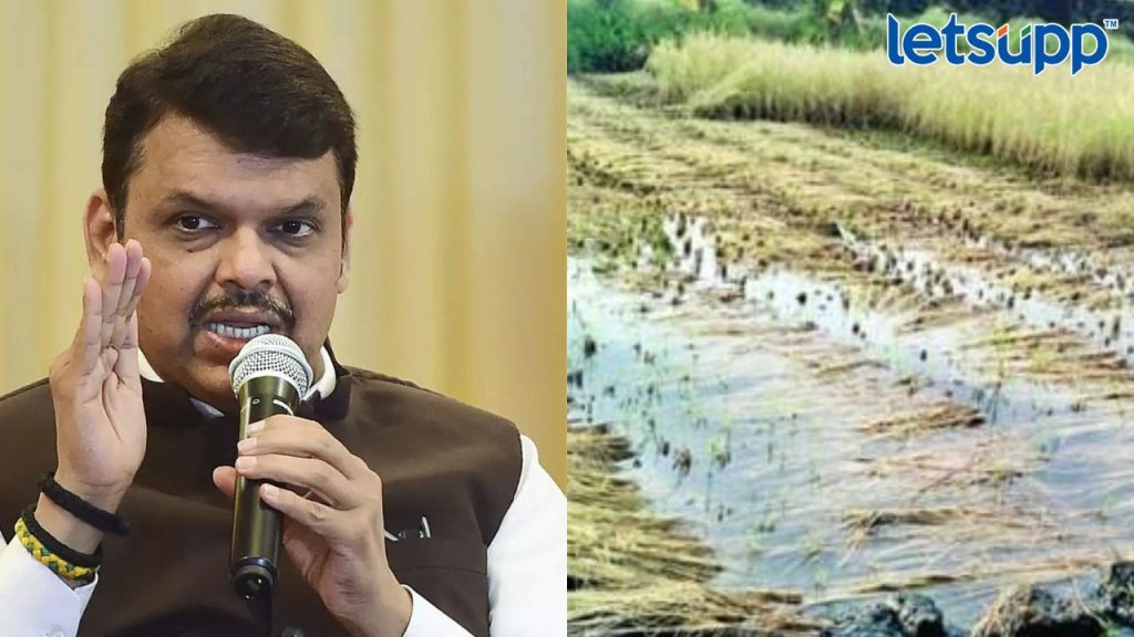 Httpswww.canva.comdesignDAFcJmY7 AA2pbVhvfb_idY9UrtjK05lwviewium=link&utm_source=shareyourdesignpanel (2)