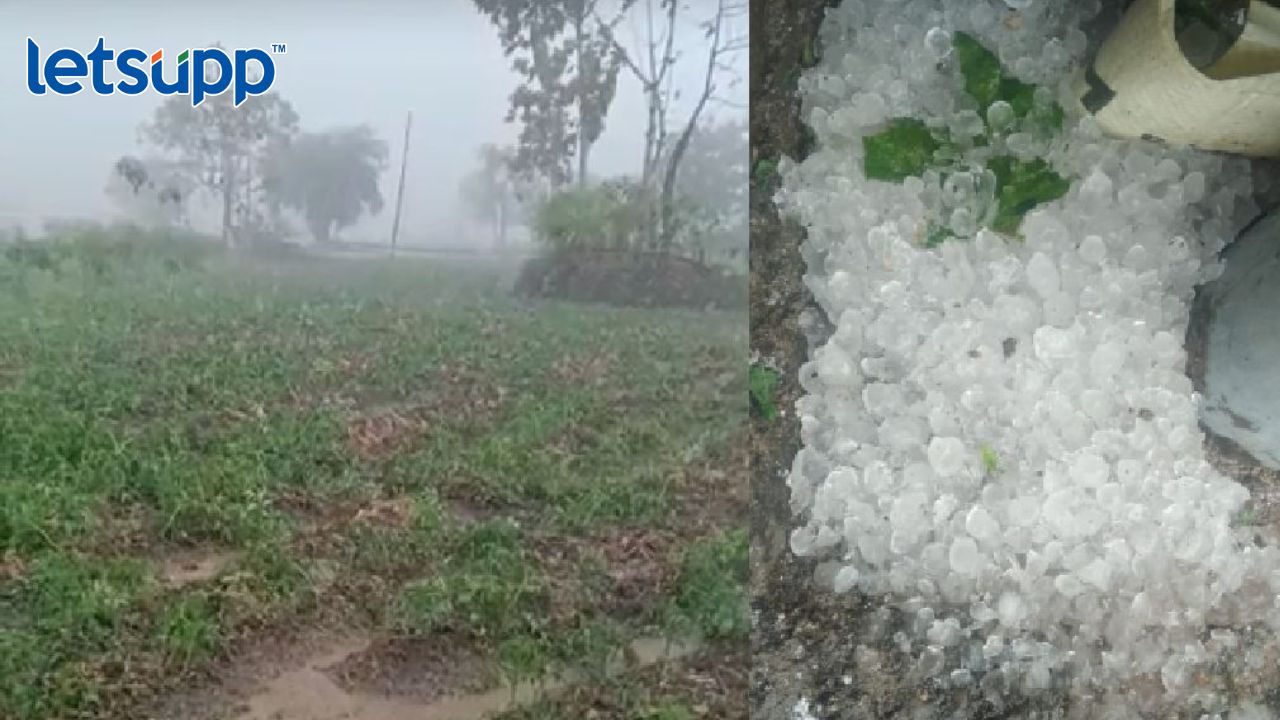 Httpswww.canva.comdesignDAFcJmY7 AA2pbVhvfb_idY9UrtjK05lwviewium=link&utm_source=shareyourdesignpanel (3)