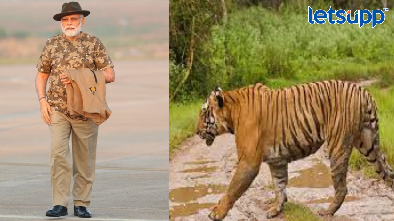 Httpswww.canva.comdesignDAFcJmY7 AA2pbVhvfb_idY9UrtjK05lwviewium=link&utm_source=shareyourdesignpanel (4)