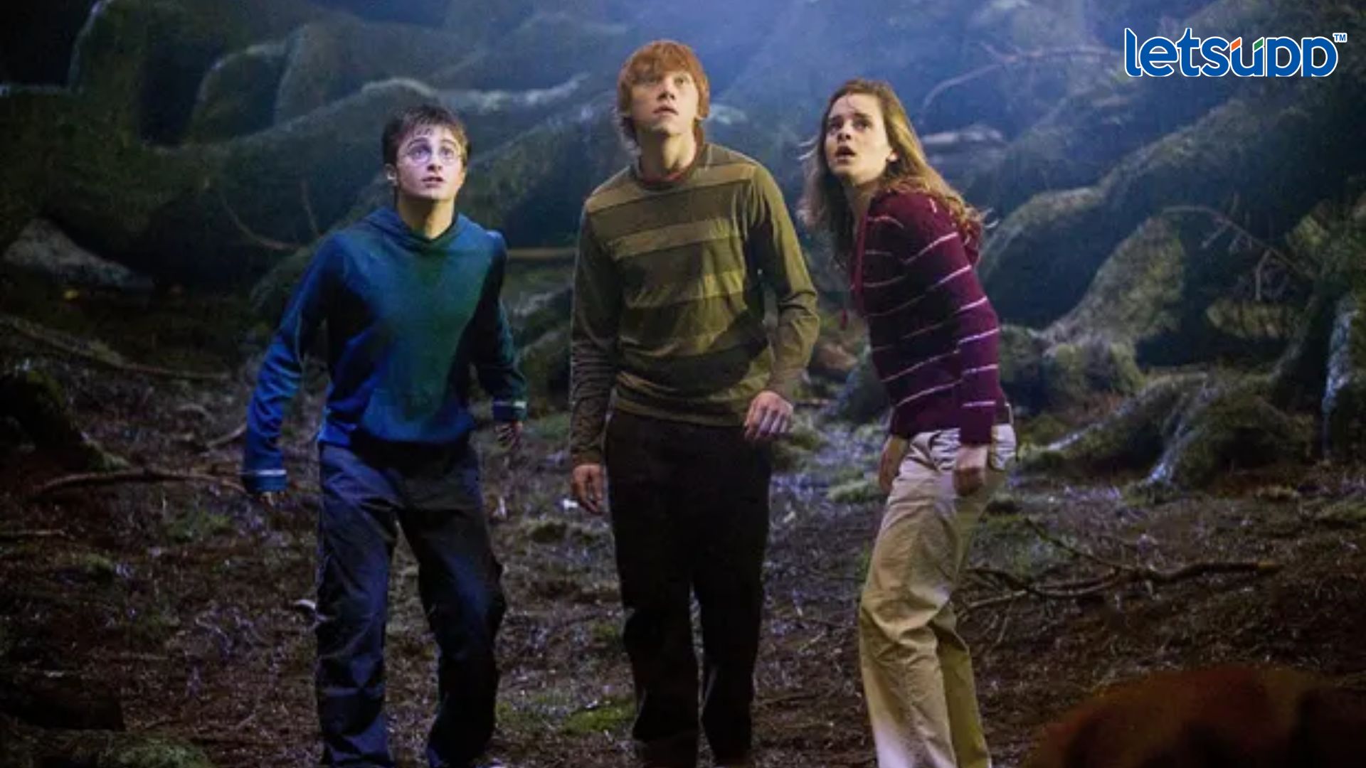 Important Update Regarding Shreyas Iyer Fitness Has Come Out (60)