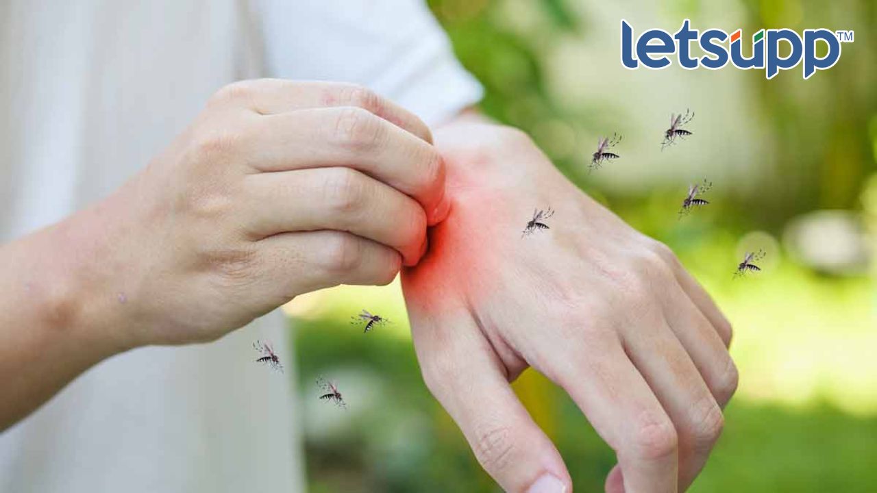 डासांपासून सुटका मिळवण्यासाठी हे उपाय नक्की ट्राय करा Untitled Design 2023 05 16T180755.014