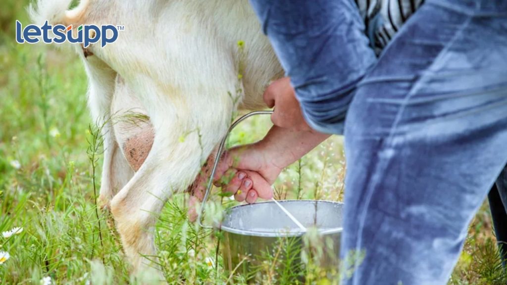 Untitled Design 2023 06 01T141221.493