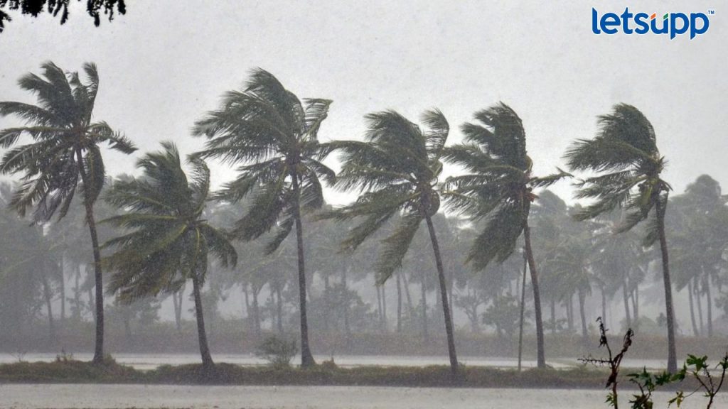 Untitled Design (54)