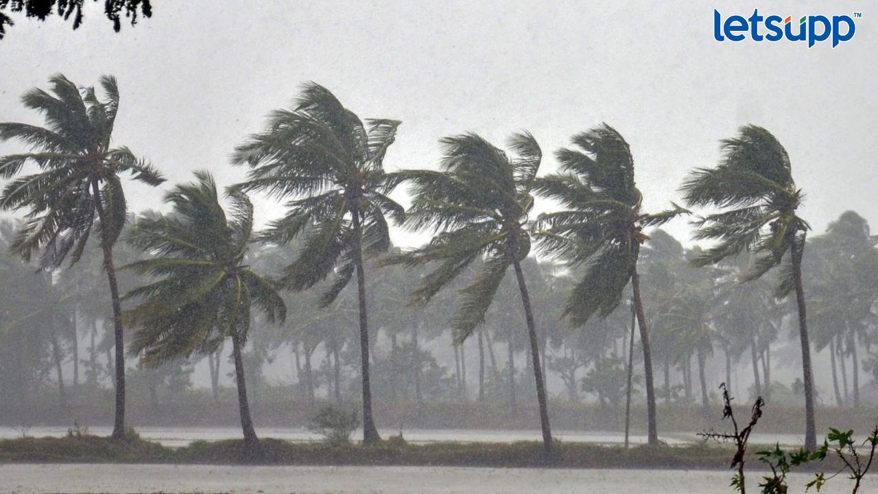 Untitled Design (54)