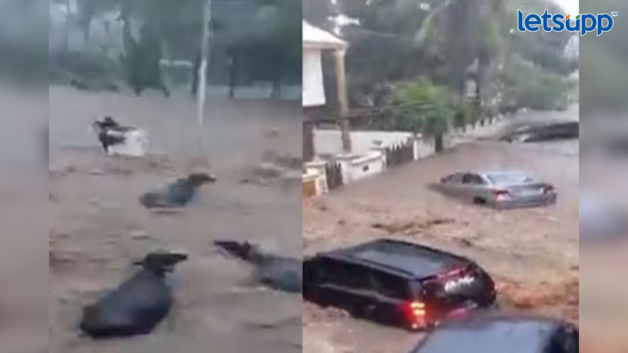 Untitled Design (27)