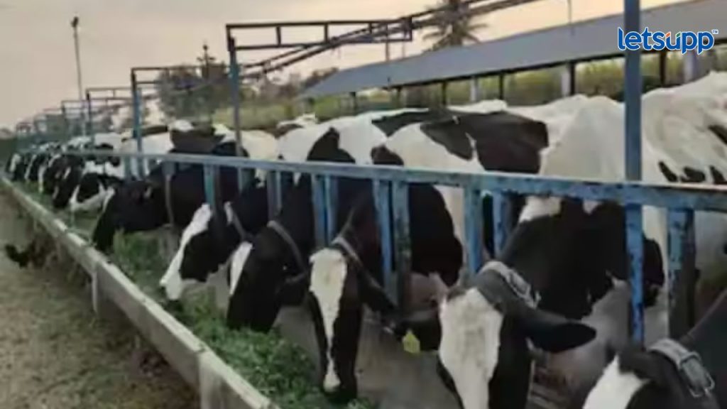 Animal Husbandary Training