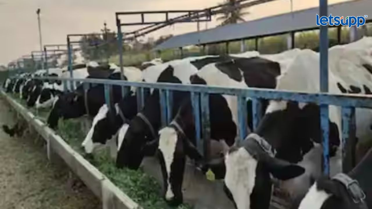 अनुसूचित जातीच्या लाभार्थ्यांना पशुसंवर्धन विषयक प्रशिक्षण Animal Husbandary Training