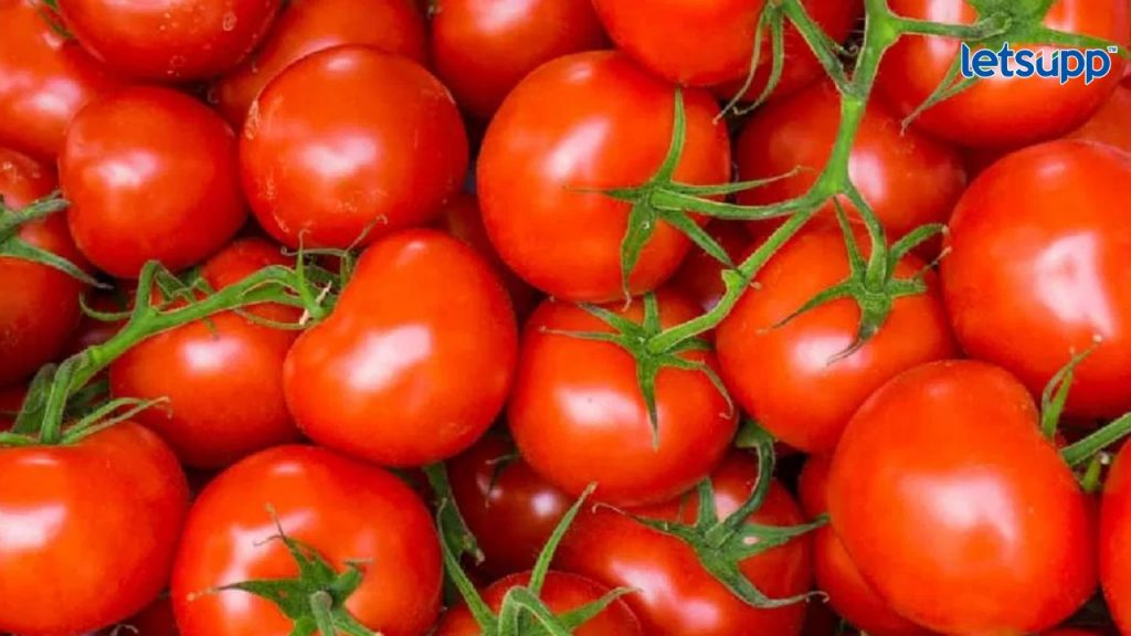 Tomato High Prices