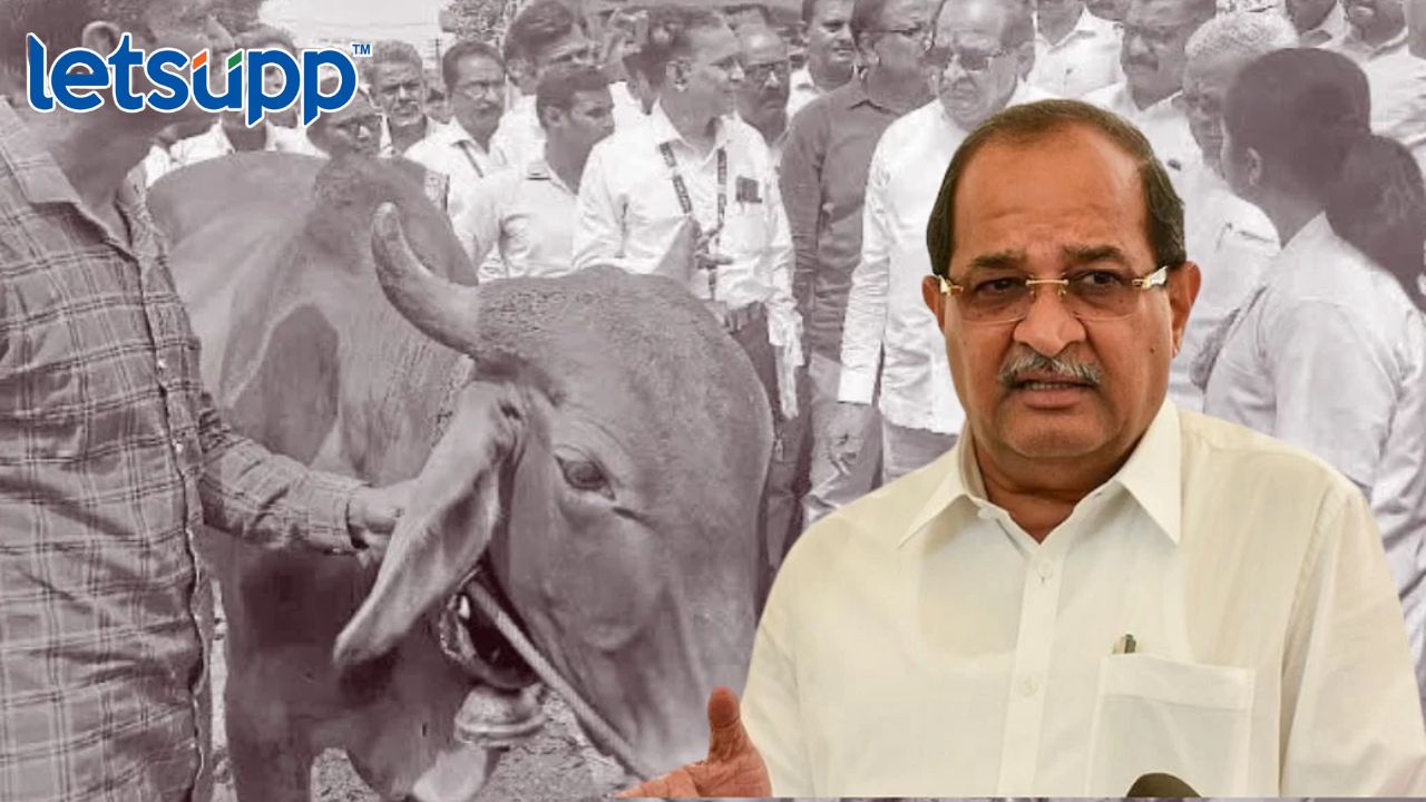 Lumpy Disease : राज्यात पुन्हा लंपीचा प्रादुर्भाव, जनावारांचे बाजार बंद करण्याचे आदेश Lumpy Disease