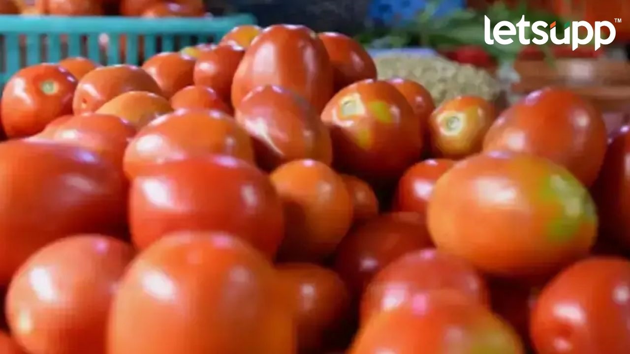 Tomatos