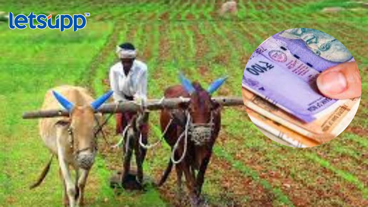 PMFBY : ‘पीक विमा योजनेत 2700 कोटीचे दावे प्रलंबित, तर महाराष्ट्रातील 336 कोटींचे दावे’, कृषिमंत्र्यांची संसदेत माहिती Untitled Design