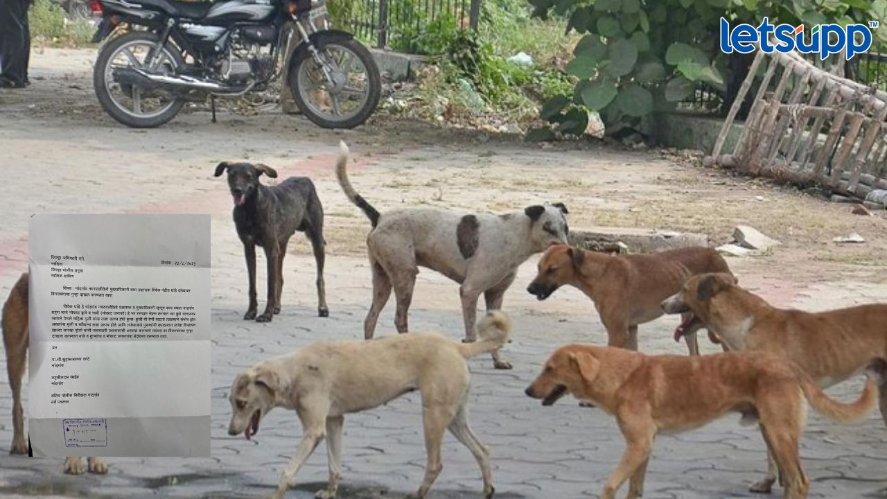 ‘मोकाट कुत्र्यांच्या प्रणयक्रीडेमुळे महिलांचा विनयभंग’; थेट जिल्हाधिकाऱ्यांनाच पत्र Untitled Design (19)