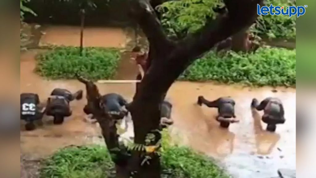 Untitled Design   2023 08 03T193304.183