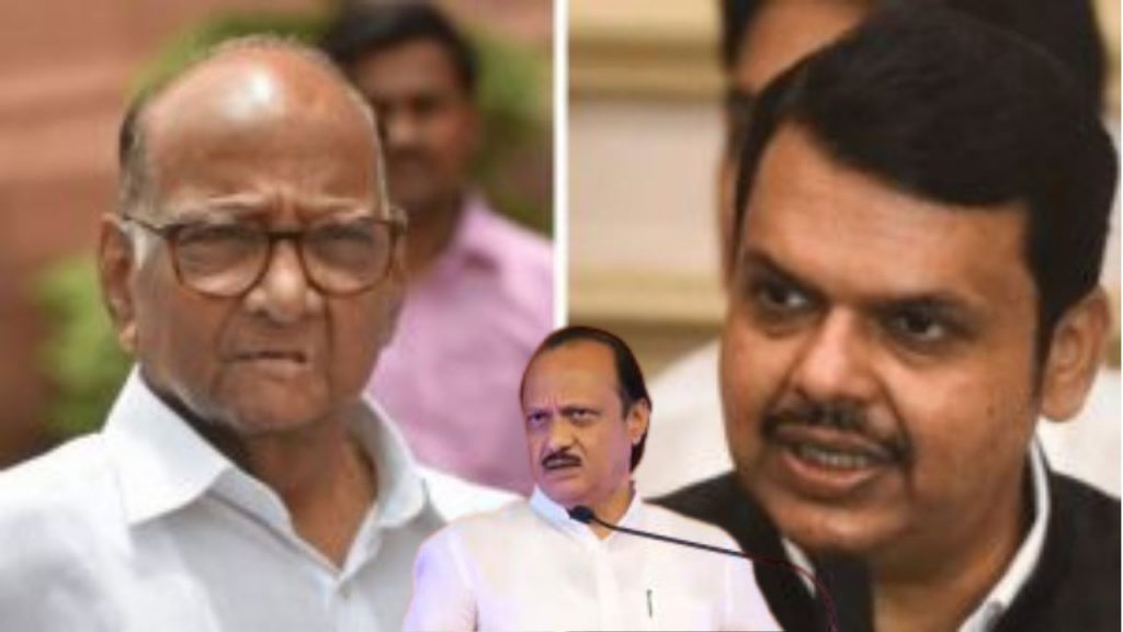 Devendra Fadnavis : अजितदादांमुळे शरद पवार रायगडावर; आता 'तुतारी' किती वाजतोय बघायचे