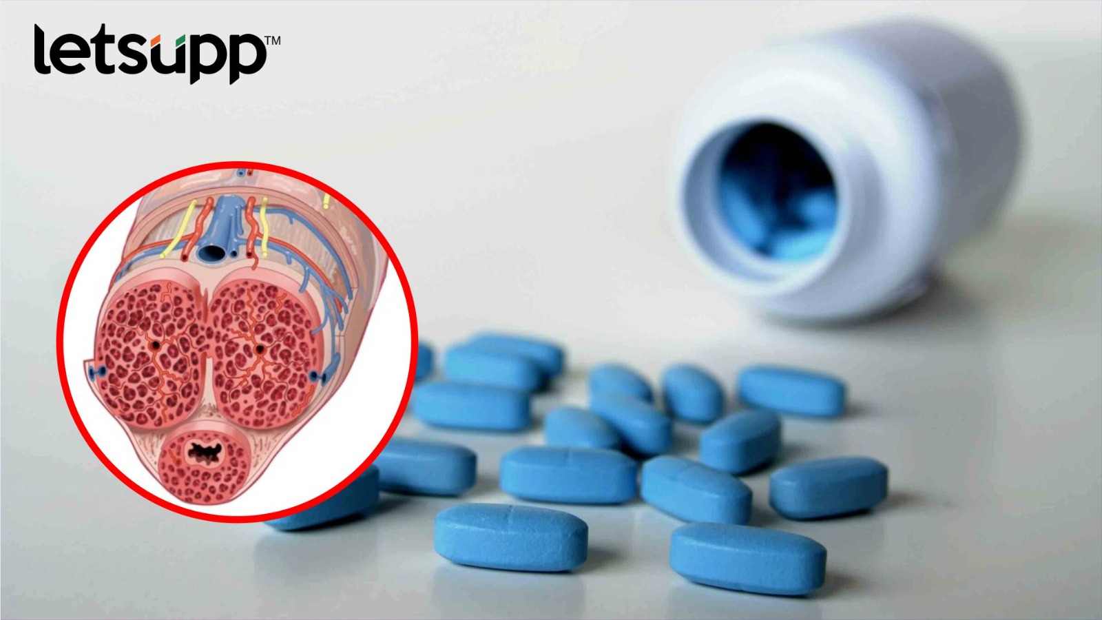 ‘व्हायग्रा’चा शरीरावर नेमका काय परिणाम होतो ? मृत्यू येतो का ? जाणून घेऊया… Virgra