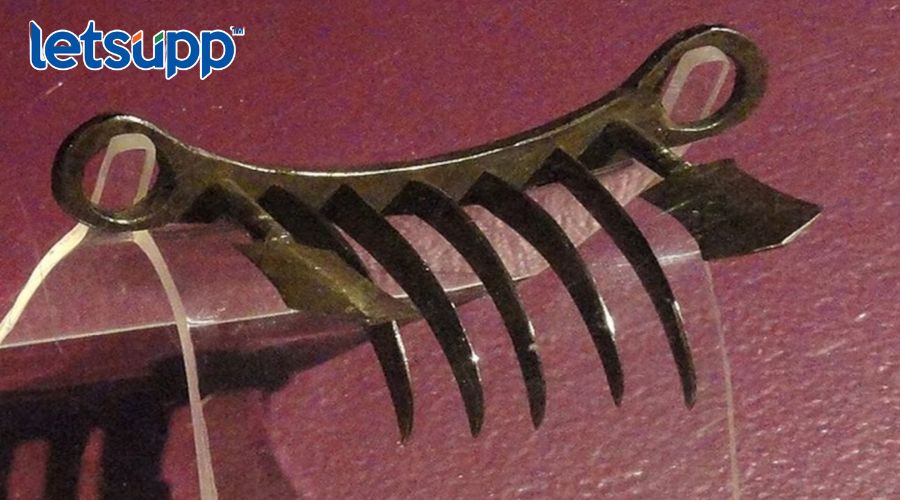 Shivaji Maharaj Vaghnakh