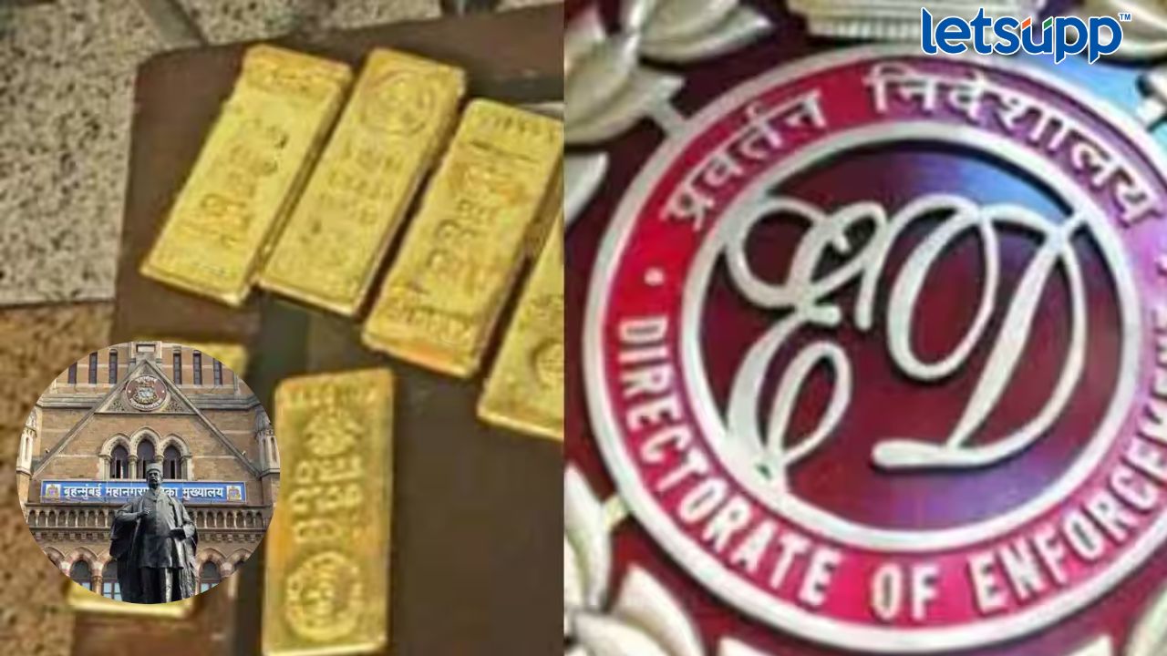 Ayant Dharmadhikari (4)