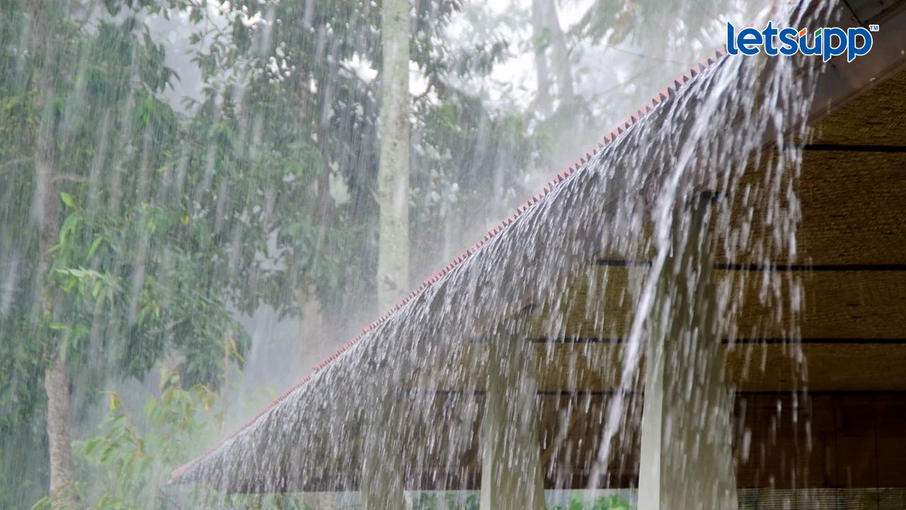 Maharashtra Weather Update : राज्यावर अवकाळीचं संकट कायम; आजही काही जिल्ह्यांना हवामान विभागाची यलो अलर्ट!