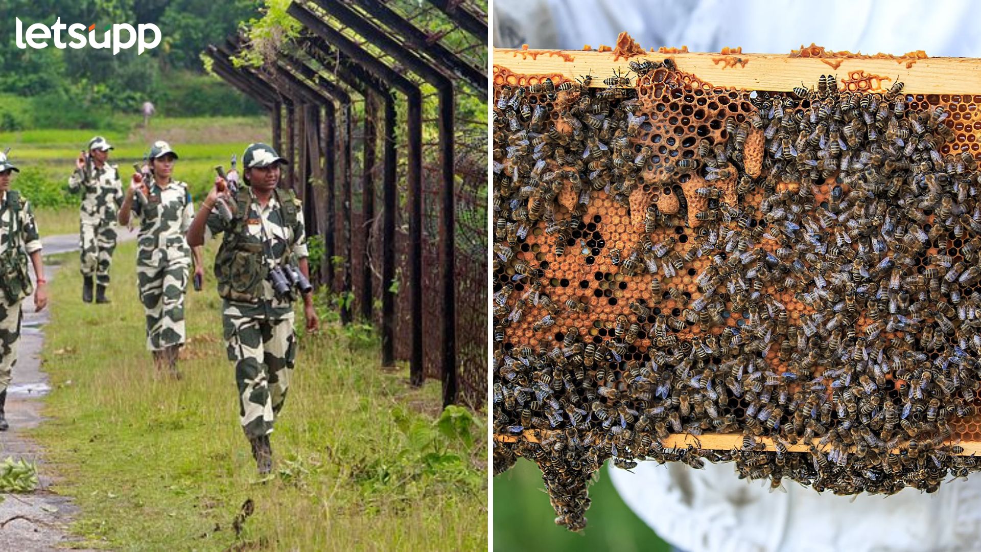 Border Sercurity Force