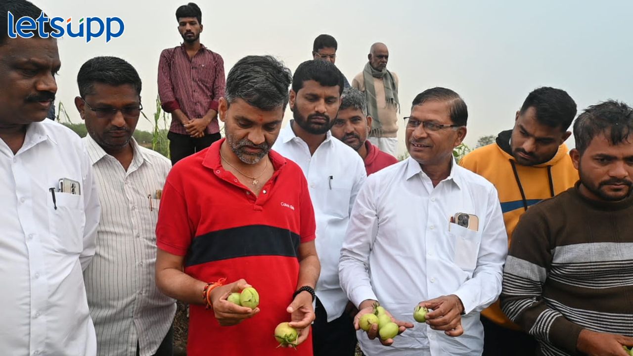 'अवकाळीने' पिके उध्वस्त, आमदार लंके थेट शेतकऱ्यांच्या बांधावर, मुख्यमंत्र्यांकडे नुकसान भरपाईची मागणी