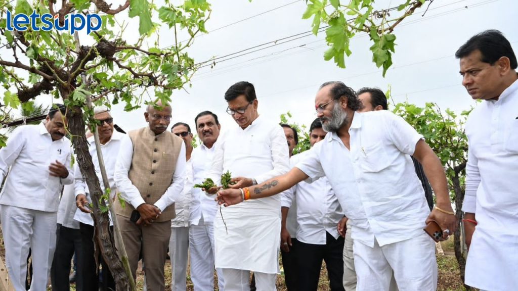 'निकष बाजूला ठेवा, कागदी घोडे न नाचवता जेवढं नुकसान झालं, तेवढी मदत करा'; थोरात आक्रमक